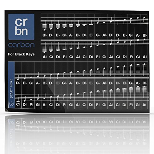 Piano Stickers for White & Black Keys w/Complete Notes on Grand Staff for 49/61 / 76/88 Keyboards - Thumbnail 3