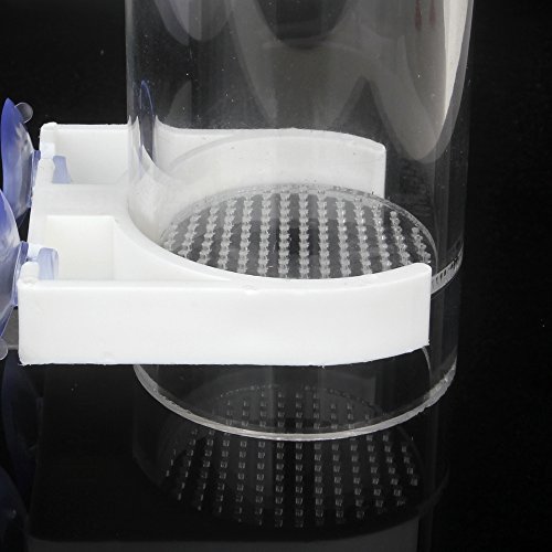 3 Senzeal+Aquarium+Cichlids+Incubator+Mouth+Brooding