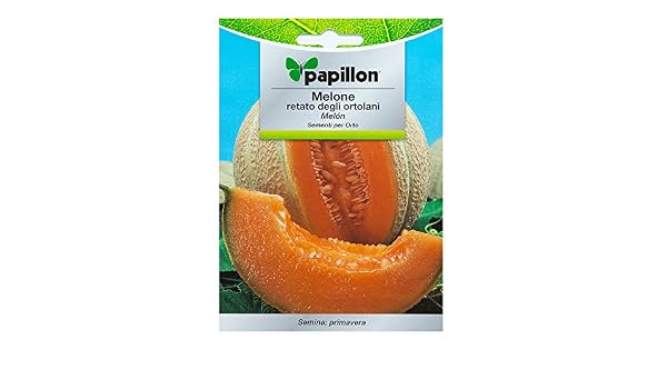 Semillas Melon Cantalupo (3 Gramos): Amazon.es: Bricolaje y ...