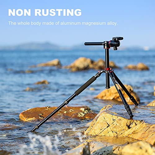 K&F Concept TM2534T DSLR Camera Tripod 66 Inch Portable Magnesium