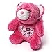 Gund Snuffles Valentines Day 3 Piece Collector Set of 5 Inch Brown, Pink and Purple Snuffles with Hearts