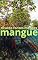 Livro MANGUE