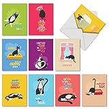 M6558OCB Catty Cards: 10 Assorted Blank All-Occasion Note Cards Featuring Spunky and Sassy Felines with Typical Cat Attitude on Richly Colored Backgrounds, w/White Envelopes.