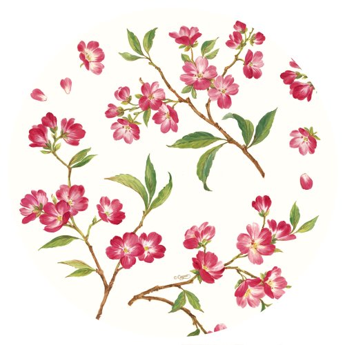 Entertaining with Caspari Set of Two Cherry Blossums Paper Salad Plate packages…