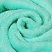 LANGRIA Mermaid Tail Blanket Glittering Flannel Super Soft Cozy Warm Lightweight for Kid Girl Adult All Season (60 x 25 inches, Green)