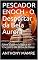 Livro PESCADOR ENOCH - O Despertar da Bela Aurora: Uma Viagem Mágica ao Encontro da Alma de Deus