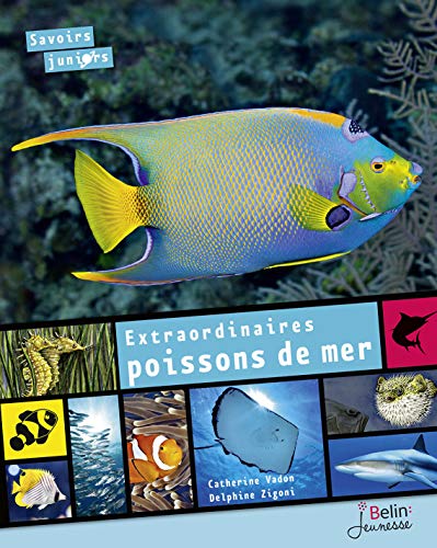 Extraordinaires poissons de mer by Catherine Vadon