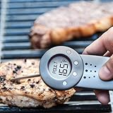 Charcoal Companion Talking Temp Digital Thermometer