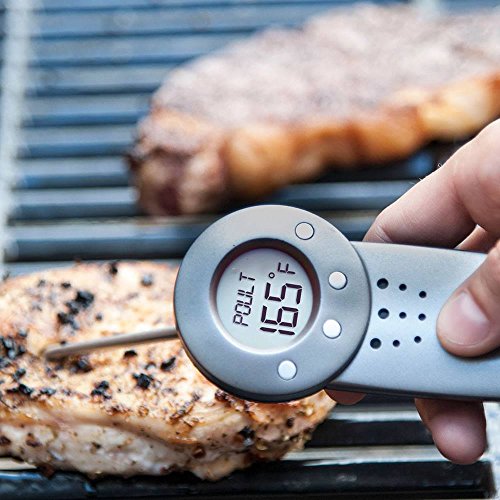 Charcoal Companion Talking Temp Digital Thermometer