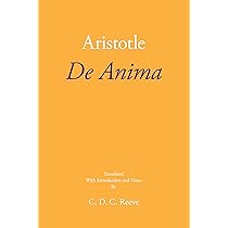 De Anima | Amazon.com.br