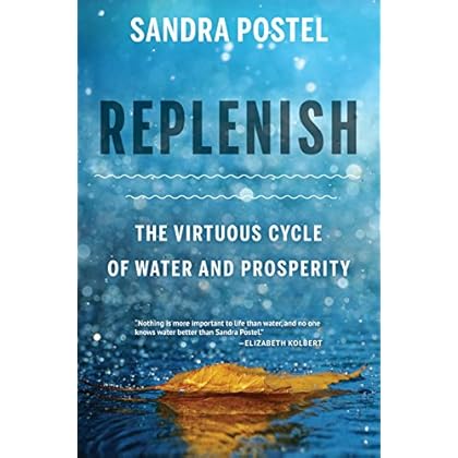 Replenish: The Virtuous Cycle of Water and Prosperity