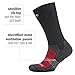 Balega Blister Resist Performance Crew Athletic Running Socks for Men and Women (1 Pair), Charcoal, Large