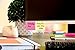 Post-it® Mini Super Sticky Notes 1 7/8 in x 1 7/8 in Canary Yellow 8 Pads/Pack 90 SheetsPad