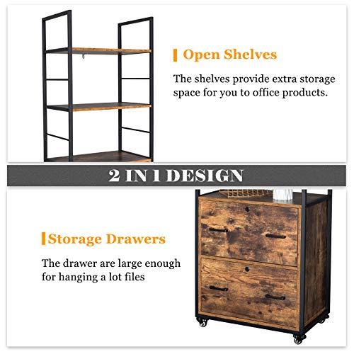 VINGLI 2 Drawer File with Lock for Hanging Letter/Legal Size