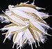 BABEYOND 42 Pcs 1920s Gatsby Gold Dipped Feather Natural Décor Glitter Feather for 20s Party Decoration Wedding Decoration (White & Gold)