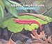 About Amphibians: A Guide for Children