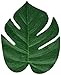 Fun Express FX IN-70/1514 Tropical Leaves (4 Dozen) primary