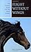 Flight without Wings: The Arabian Horse And The Show World
