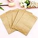Aneco 200 Pieces Seed Envelopes Kraft Seed Paper Bags Mini Coin Packets Envelopes for Home and Garden Use, 2 Size