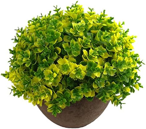 Honboom Mini Artificial plant ball with Pots for Home And Office Decor (Yellow green)