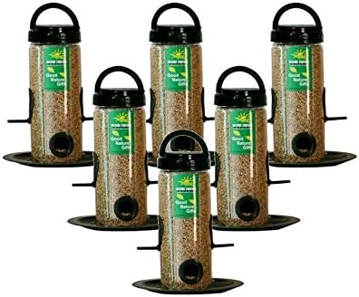 Nature Forever Bird Feeder Combo Pack, Transparent (6 Pieces)
