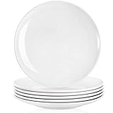 Peohud 6 Pack Melamine Dinner Plates, 11 Inches