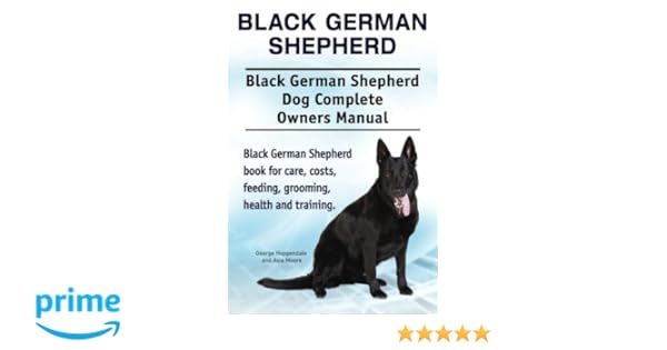 Black German Shepherd Black German Shepherd Dog Complete Owners