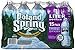 Poland Spring Spring Water - 33.8 oz - 15 ct