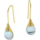 Blue Teardrop Crystal Golden Hooks Earrings for Women