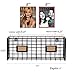 WALL35 Foyer Organizer Wire Rack Wall Mountable with 10 Hooks for Keys Hats Umbrellas Coats and Bags Black