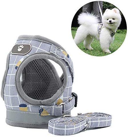 AnlitentSoft Fabric No Pull Dog Harness and Lead Set for Walking, Escape Proof Dog Vest Harnesses for Puppy Small Dogs, Easy Fit Dog Collar for Puppies Large Cat (Medium, Grid-Grey)