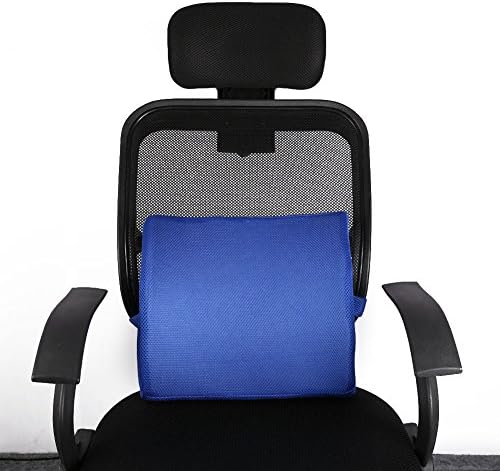 VANELIFE Memory Foam Lumbar Cushion, Relief Back Pain Breathable Mesh, for Office Worker Pregnant Women Driver, Blue