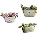Vtete 2 Pcs Rustic Succulent Planter Box Iron Flower Pot Plant Container Box for 2 Different Sizes