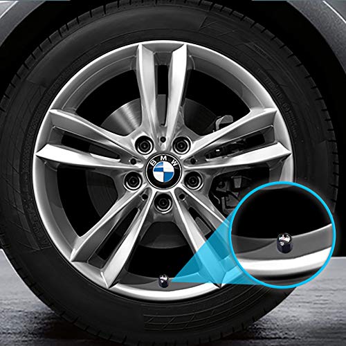 Custom Tire Valve Stem Caps (35 Vehicle Models) Anti-Theft Hexagon Design | Car, Truck, SUV | Leakproof, Airtight, Dustproof Seal | All-Weather, Lock Tight Fit (for BMW M Vehicles)