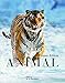 Animal (French Edition) by 