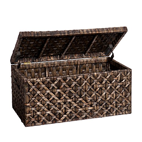 Southern Enterprises AMZ6210KC Storage Trunk, Blackwashed