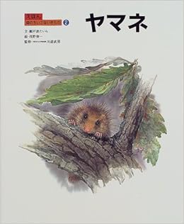 ヤマネ えほん 森のちいさないきもの 瀬戸波 たいら 武男 川道 俊一 浅野 本 通販 Amazon
