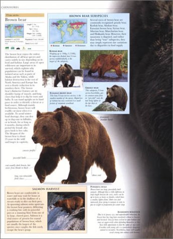 Animal: The Definitive Visual Guide to the World's Wildlife - Thumbnail 7