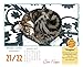 Cat Naps 2017 Boxed/Daily Calendar