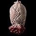 Hootech Halloween Decorations Severed Head Cut off Corpse Head Hanging Props Bloody Gory Latex Zombie Party Supplies