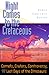 Night Comes to the Cretaceous: Comets, Craters, Controversy, and the Last Days of the Dinosaurs