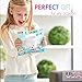 Squishies Bear Squishy Toys for Kids - Newest - Jumbo Squishies Slow Rising - Animal Squishys Stress Relief Toys - Super Soft and Slow - Kawaii Squishies - Fruit Scented Toy - Party Favors for Kids