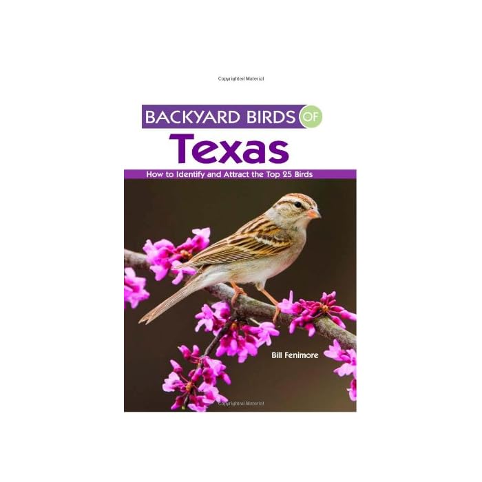 Buy Backyard Birds of Texas How to Identify and Attract the Top 25