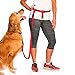 The Buddy System Hands Free Dog Leash, Adjustable Leash for Running, Jogging, Training and Service Dogs, Great for Small, Medium and Large Dogs, Made in USA (Red, Regular Belt (22