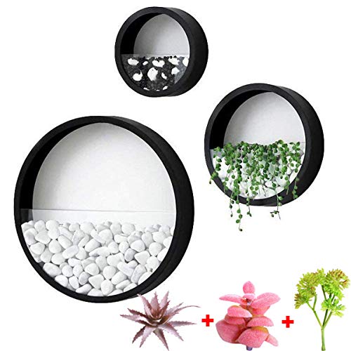 3 Pack Set Wall Planters Modern Wall Vase Succulent Planter Circle Flower Pot Metal Iron Indoor Vertical Container Wall Hanging Home Decoration Size S,M,L Black, Include 3 Artificial Succulent Plants
