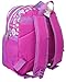 Nickelodeon Paw Patrol Skye Everest 12