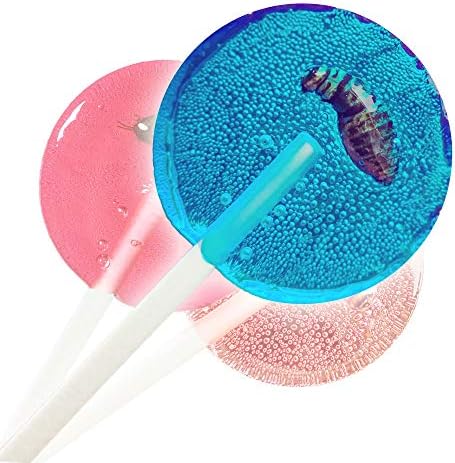Edible Insect Lollipops Made from Roasted Crickets and Made in Portland, Oregon USA. New Cricket Flours Product with 3-Flavors: Cotton Candy, Cinnamon, and Strawberry Kiwi