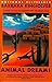 Animal Dreams