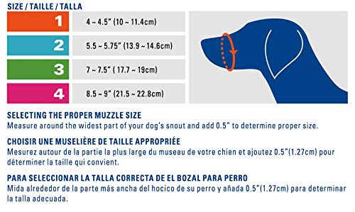 Cesar Millan Funny Muzzle, Dragon, Size 2, Green