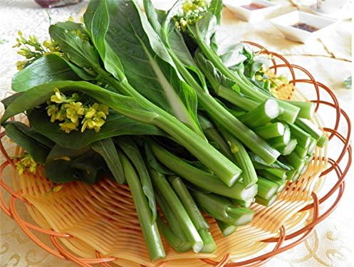 Promotion!!! Choy sum, Chinese cabbage, green vegetable seeds - 200 Seed particles